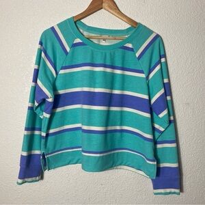 Wildfox pastel striped crewneck cropped sweatshirt Large long sleeve